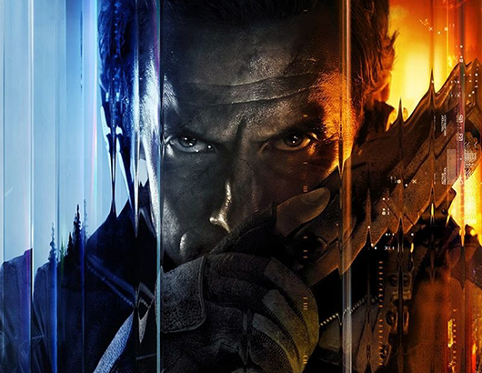 蚂蚁分类信息系统